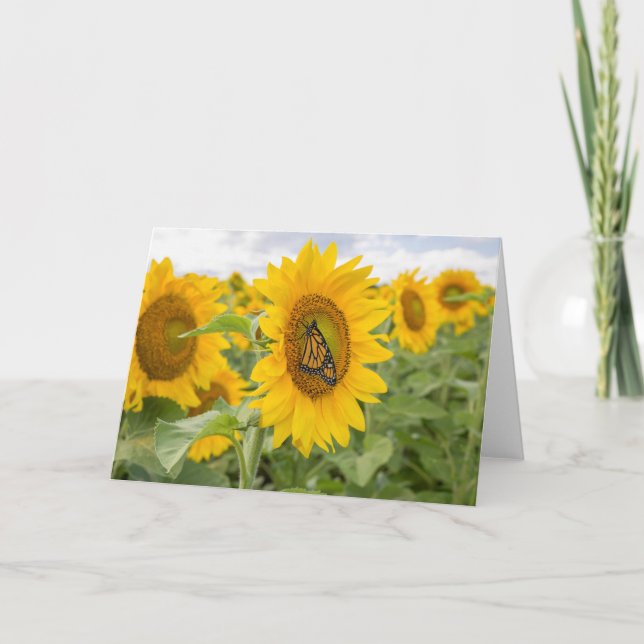 Sonnenblumen und Monarch Notecard Karte (Vorderseite)