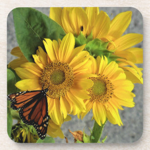 Sonnenblumen und Monarch-Schmetterling-Untersetzer Getränkeuntersetzer