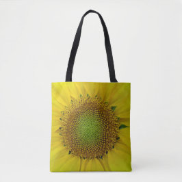 Sonnenblumen und Samen, Spirale, Goldenes Verhältn