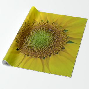 Sonnenblumen und Samen, Spirale, Goldenes Verhältn Geschenkpapier