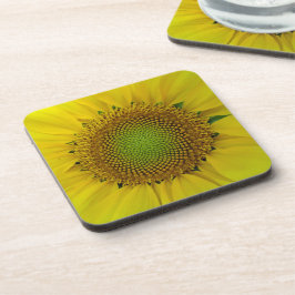 Sonnenblumen und Samen, Spirale, Goldenes Verhältn Getränkeuntersetzer