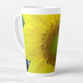 Sonnenblumen und Samen, Spirale, Goldenes Verhältn Milchtasse