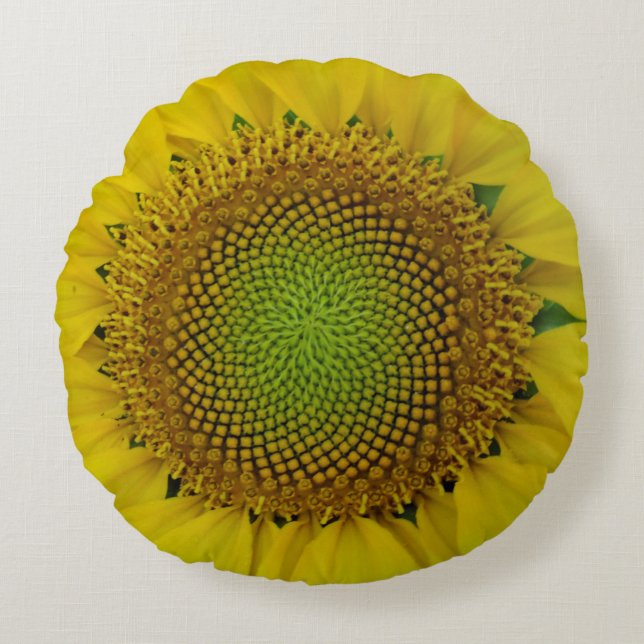 Sonnenblumen und Samen, Spirale, Goldenes Verhältn Rundes Kissen (Vorderseite)