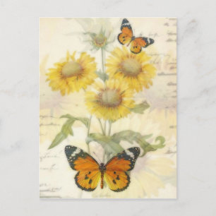 Sonnenblumen und Schmetterling Postkarte