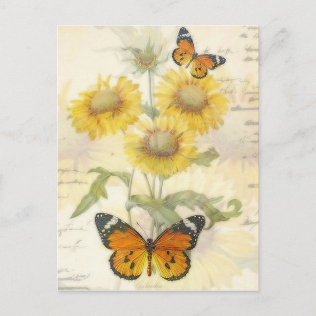 Sonnenblumen und Schmetterling Postkarte (Vorderseite)