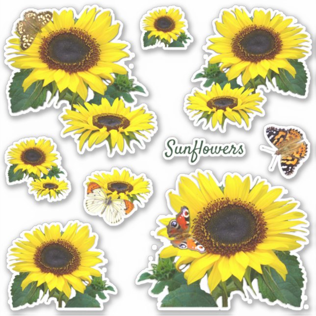 Sonnenblumen und Schmetterlinge schneiden Vinyl St Aufkleber (Vorderseite)