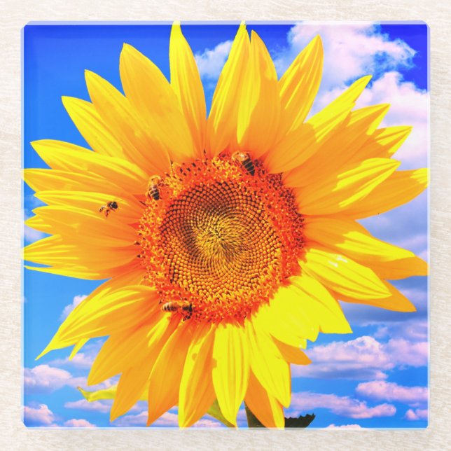 Sonnenblumen und Untersetzer aus Bienenglas (Vorderseite)