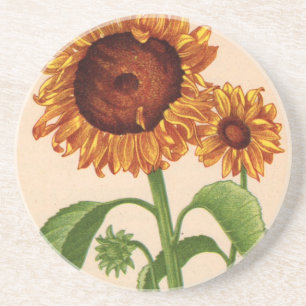 Sonnenblumen Untersetzer