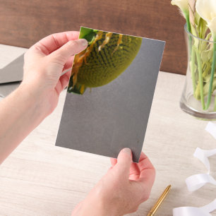 Sonnenblumen-Vellum-Overlay