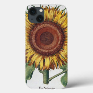 Sonnenblumen Vintag Damask Blume Art Case-Mate iPhone Hülle