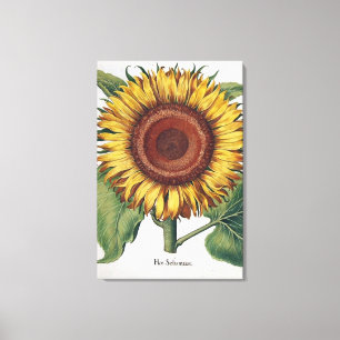 Sonnenblumen Vintag Damask Blume Art Leinwanddruck