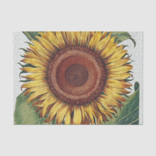 Sonnenblumen Vintag Damask Blume Art Seidenpapier