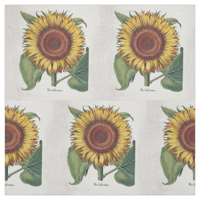Sonnenblumen Vintag Damask Blume Art Stoff (Muster)