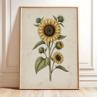 Sonnenblumen-Vintage-Farmhouse-Wandkunst Poster