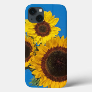 Sonnenblumen vor blauem Zaun Case-Mate iPhone Hülle