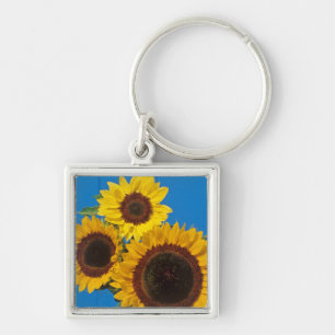 Sonnenblumen vor blauem Zaun Schlüsselanhänger