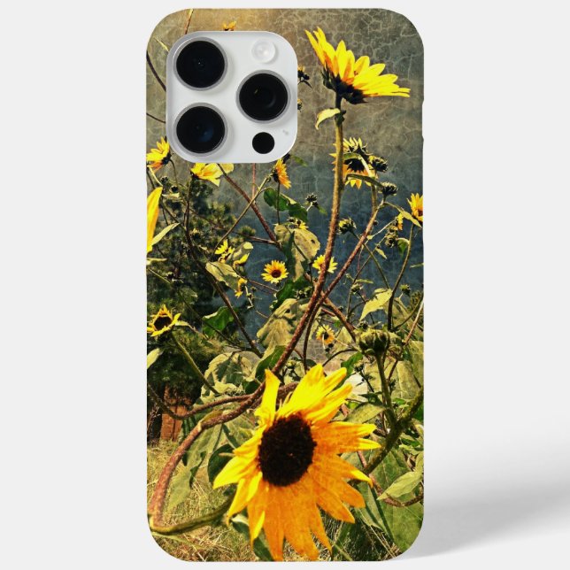 Sonnenblumen vor Sturmwolken Case-Mate iPhone Hülle (Rückseite)
