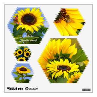 Sonnenblumen ~ Wand-Decal (Hexagon)