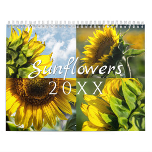 Sonnenblumen-Wandkalender - 12 Fotosammlung Kalender