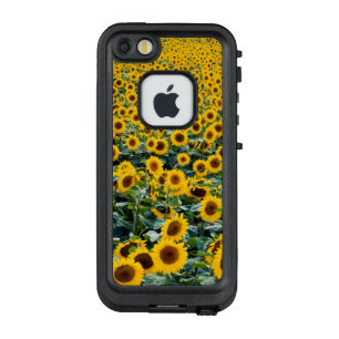 Sonnenblumen, Wisconsin-Feld LifeProof FRÄ’ iPhone SE/5/5s Hülle