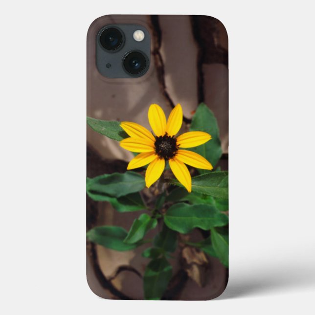 Sonnenblumenanbau aus Rack Case-Mate iPhone Hülle (Rückseite)