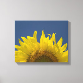 Sonnenblumenanbau Leinwanddruck