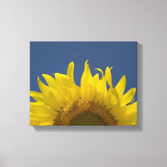 Sonnenblumenanbau Leinwanddruck (Vorderseite)