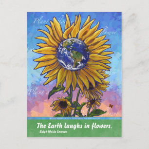 Sonnenblumenangebot Postkarte