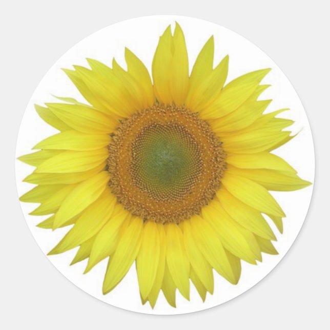 Sonnenblumenaufkleber Runder Aufkleber (Vorderseite)