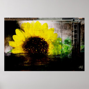 Sonnenblumenbild Poster
