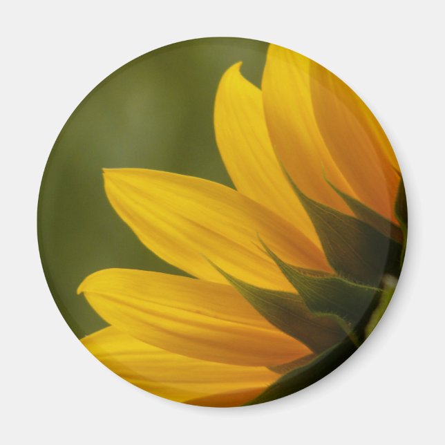 Sonnenblumendetails Magnet (Vorne)