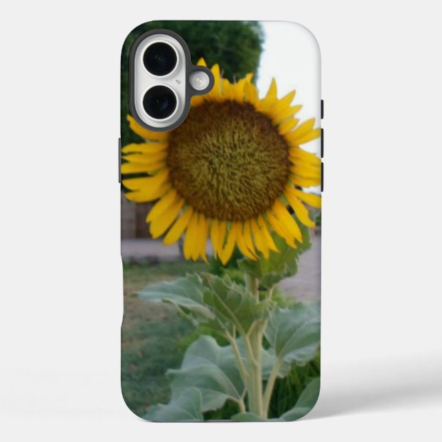 Sonnenblumendruckkunst Case-Mate iPhone Hülle (Rückseite)