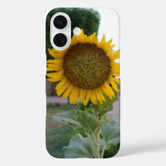 Sonnenblumendruckkunst Case-Mate iPhone Hülle (Rückseite)