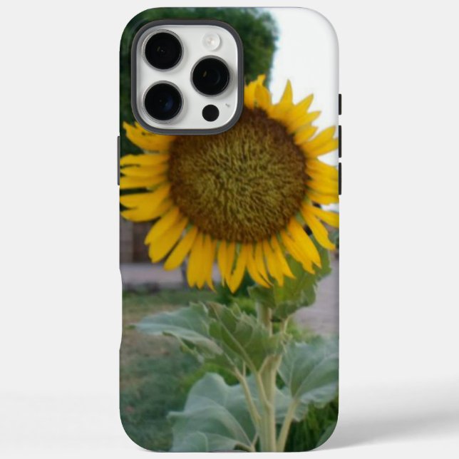 Sonnenblumendruckkunst Case-Mate iPhone Hülle (Rückseite)