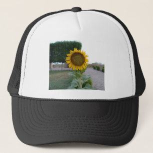 Sonnenblumendruckkunst Truckerkappe