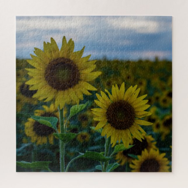 SonnenblumenDuo Nah Puzzle (Vertikal)