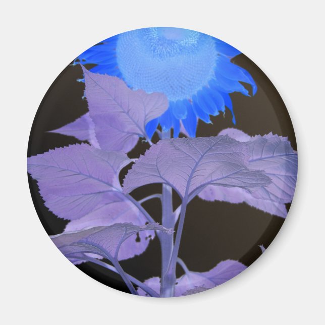 Sonnenblumeneffekt Magnet (Vorne)