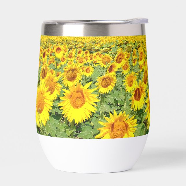 Sonnenblumenfeld (Links)