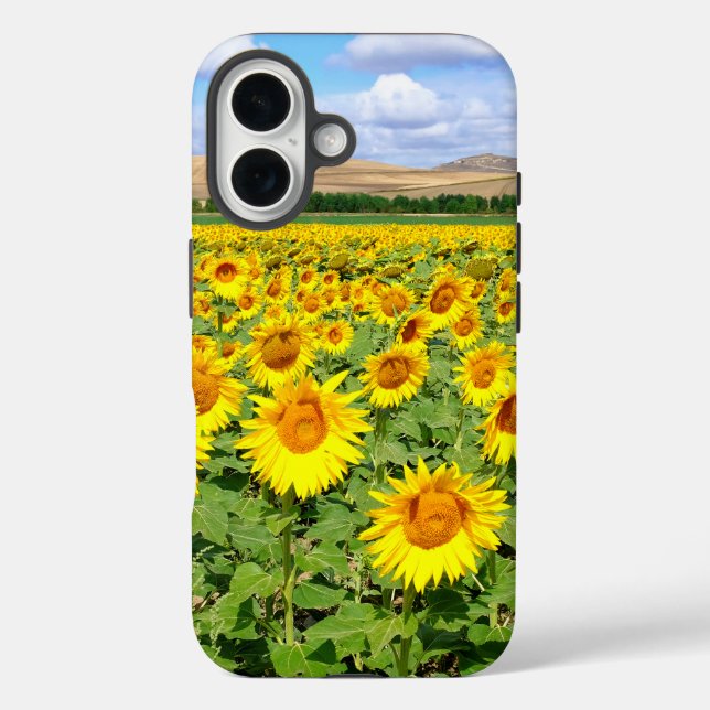 Sonnenblumenfeld Case-Mate iPhone Hülle (Rückseite)