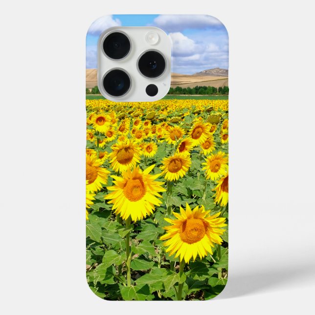 Sonnenblumenfeld Case-Mate iPhone Hülle (Rückseite)