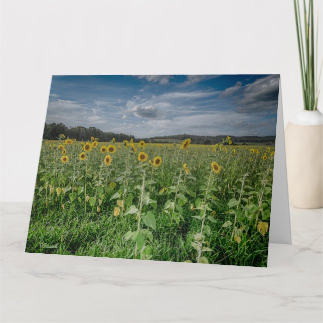 "Sonnenblumenfeld" Dankeskarte (Vorderseite)