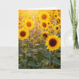 SONNENBLUMENFELD GEBURTSTAGSGRUSSKARTE KARTE