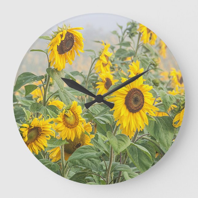Sonnenblumenfeld Gelb Grün Schöne Blüte Große Wanduhr (Vorderseite)