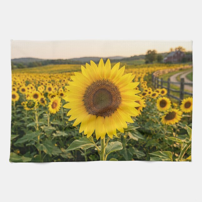 Sonnenblumenfeld Geschirrtuch (Horizontal)