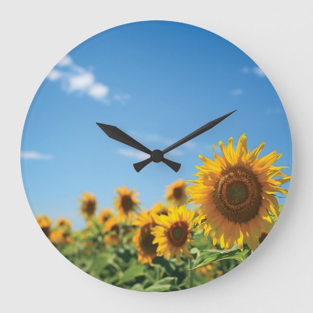 Sonnenblumenfeld Große Wanduhr (Vorderseite)