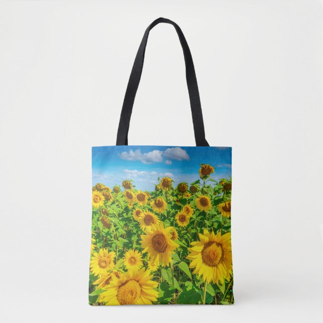 Sonnenblumenfeld im Sommer Sonnentag. malerisch (Vorderseite)