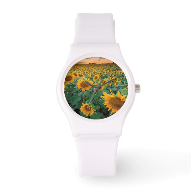 Sonnenblumenfeld in Longmont, Colorado Armbanduhr (Vorderseite)
