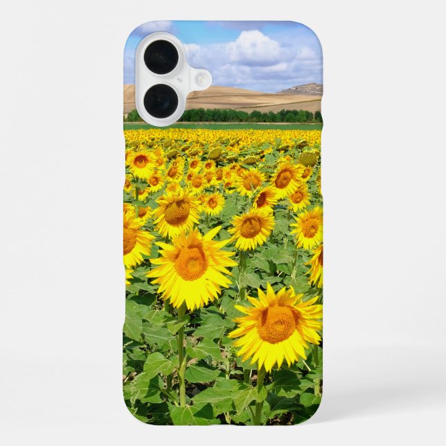 Sonnenblumenfeld iPhone Hülle (Rückseite)