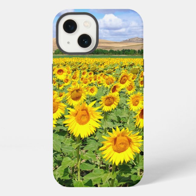 Sonnenblumenfeld iPhone Hülle (Rückseite)