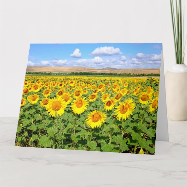 Sonnenblumenfeld Karte (Vorderseite)